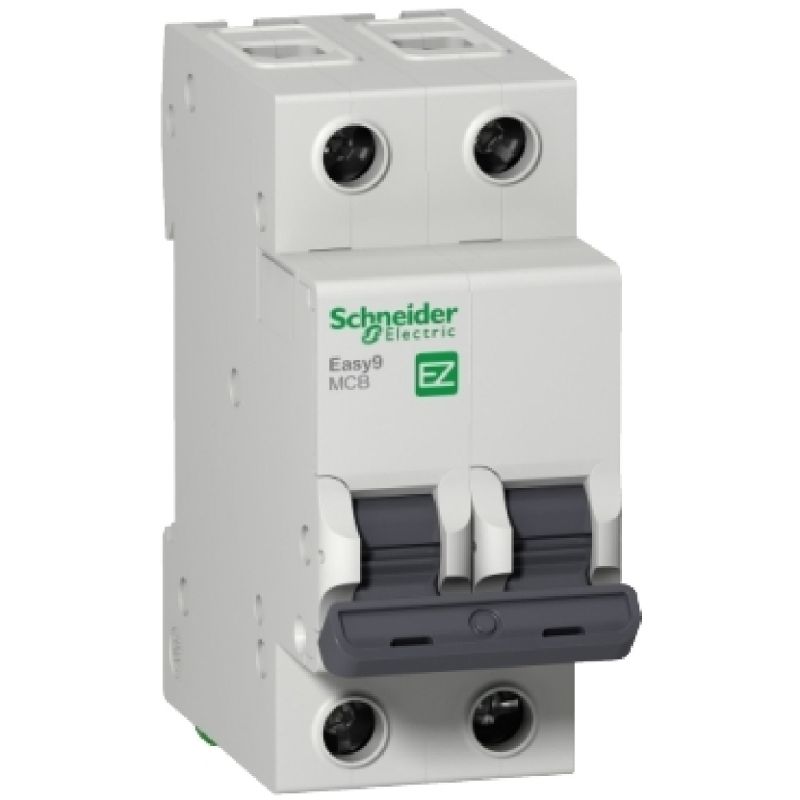 DISJUNTOR BIPOLAR EASY9 C 20A SCHNEIDER